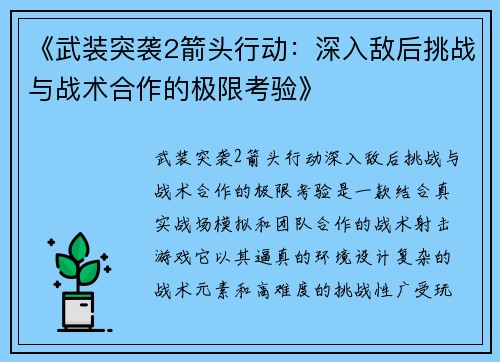 《武装突袭2箭头行动：深入敌后挑战与战术合作的极限考验》